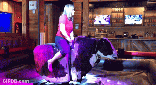 Woman Riding Bull In Bar GIF