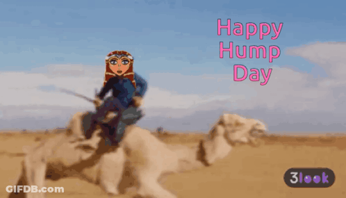 Woman Riding Camel Happy Hump Day GIF