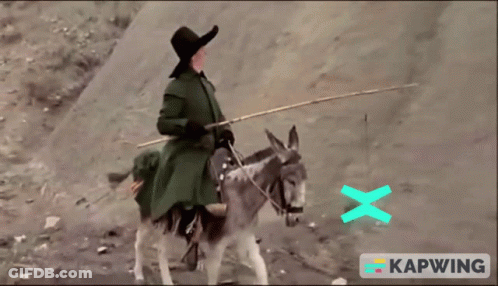 Woman Riding Donkey With Fishing Rod GIF