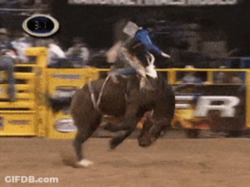 Woman Riding Horse Foothill Drive Safely Distributors Sign GIF