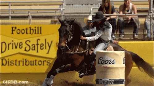 Woman Riding Horse Foothill Drive Safely Distributors Sign GIF