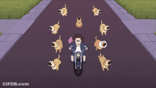 Woman Riding Motorcycle With Dog Watching GIF