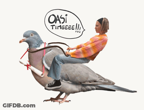 Woman Riding Pigeon Saying Oasi Timeee GIF