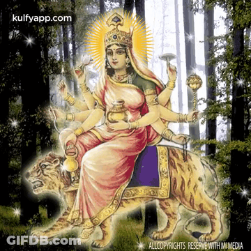 Woman Riding Tiger With Kulfyapp.com GIF
