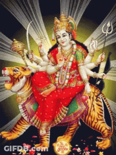 Woman Riding Tiger With Letter O GIF