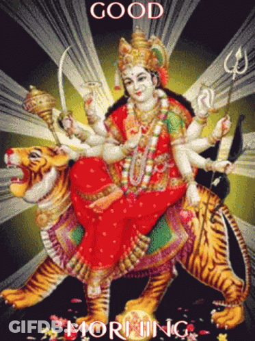 Woman Riding Tiger GIF