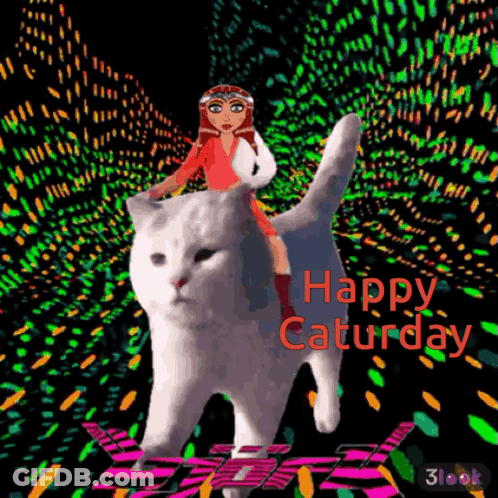 Woman Riding White Cat Happy Saturday GIF