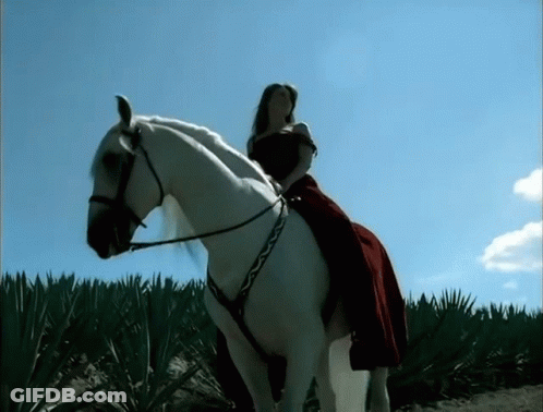 Woman Riding White Horse GIF