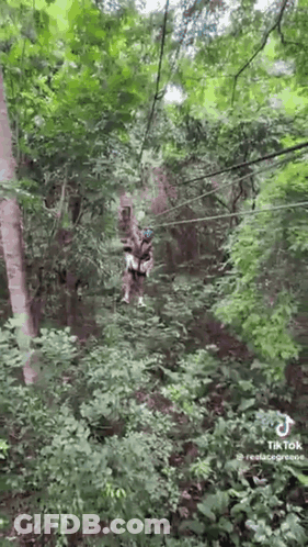 Woman Riding Zip Line Through Woods GIF