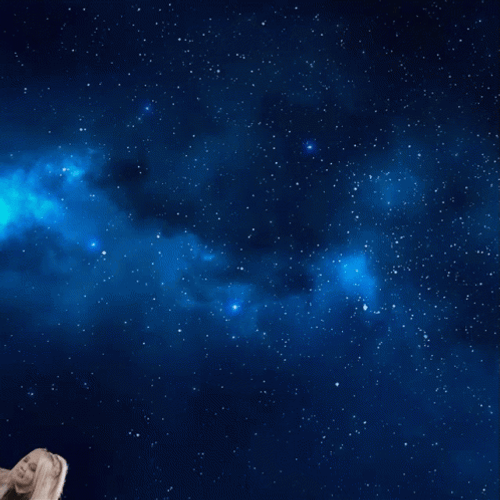 Woman Rocket Ship In Outer Space GIF