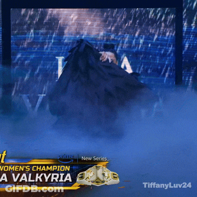 Woman's Champion Valkyria GIF