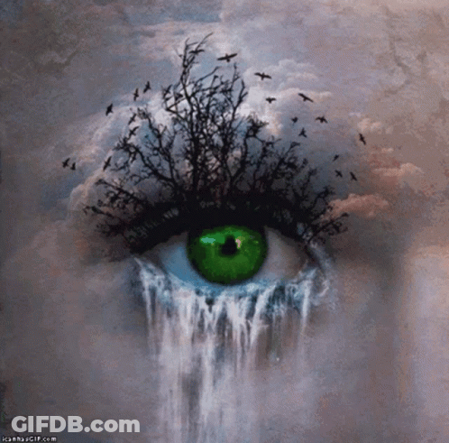 Woman's Eye With Waterfall Painting GIF
