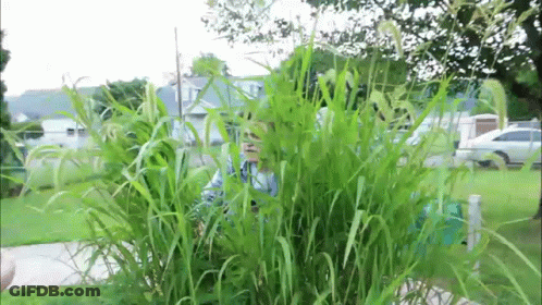 Woman's Face Close Up Red Shirt GIF