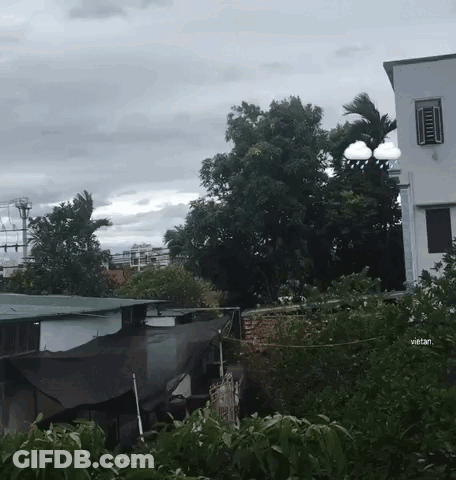 Woman's Face In Red Top GIF