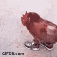 Woman's Face Saying Ok I Will Choose GIF