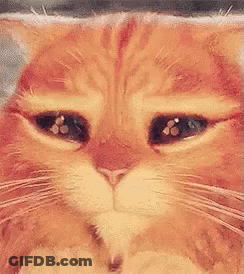 Woman's Face Sistas GIF