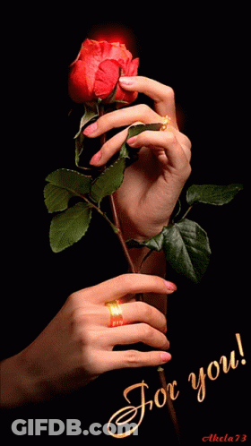 Woman's Hand Holding Red Rose Saying For You GIF