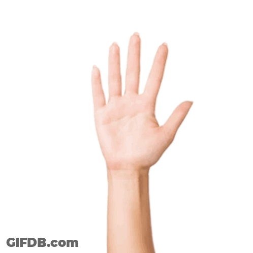 Woman's Hand Showing Number Four GIF