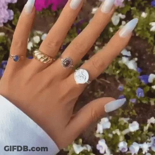 Woman's Hand With Many Rings GIF