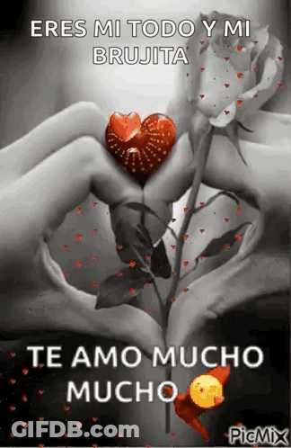 Woman's Hands Making Heart Shape With Rose GIF