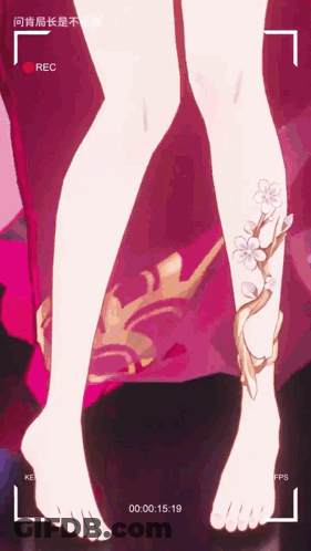 Woman's Legs With Red Rec Button GIF