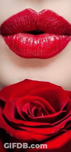 Woman's Lips Close Up Red Lipstick Red Rose GIF