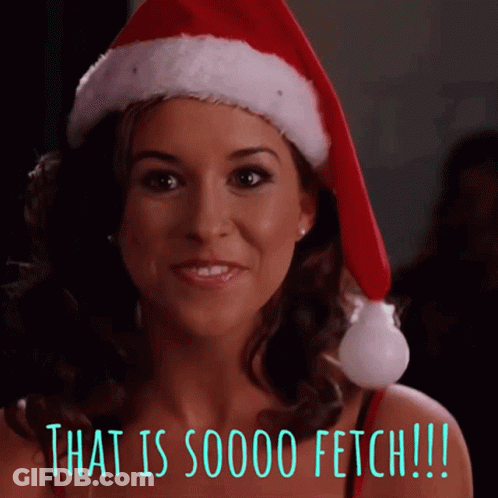 Woman Santa Hat Says That Is 00000 Fetch GIF