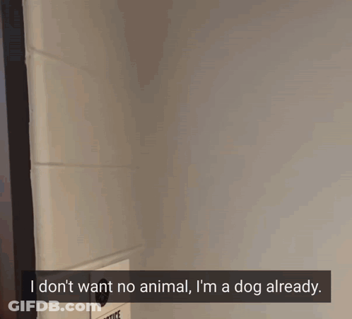 Woman Saying I Don't Want No Animal I'm A Dog Already GIF