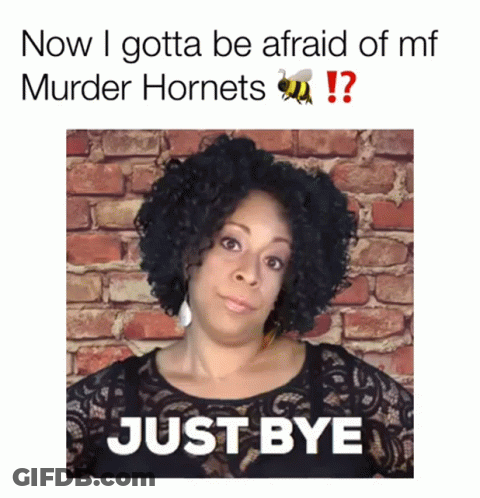 Woman Saying Just Bye In Front Of Brick Wall With Bee GIF