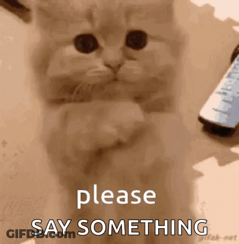 Woman Saying Tell Me What It Is GIF
