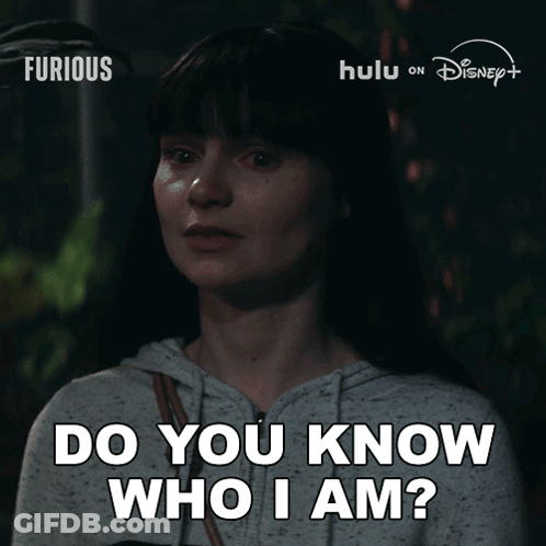 Woman Says Do You Know Who I Am In Disney Ad GIF