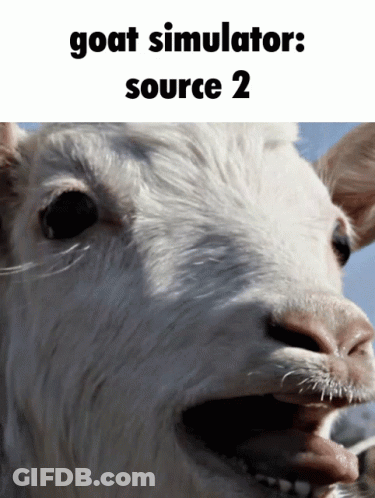 Woman Says I Think It's A No GIF