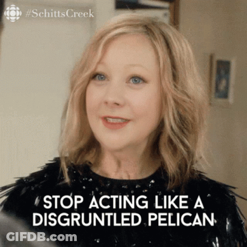 Woman Says Stop Acting Like A Disgruntled Pelican GIF