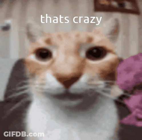 Woman Says That's Crazy To Me In Front Of BET Logo GIF