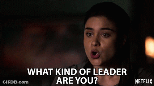 Woman Says What Kind Of Leader Are You Netflix Ad GIF