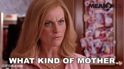 Woman Says What Kind Of Mother In Front Of Mean Girls Poster GIF