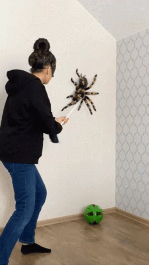 Woman Scared Hitting Spider GIF