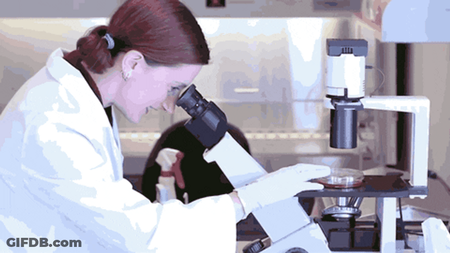 Woman Scientist Looking At Microscope GIF