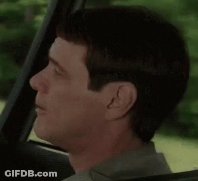 Woman Screaming In Car GIF