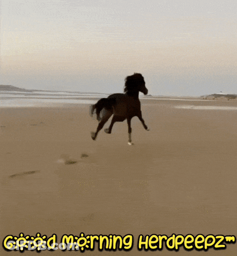 Woman Singing Into Microphone In Esp4 Jacket GIF