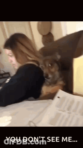 Woman Sitting At Desk With Dog Says You Don't See Me GIF