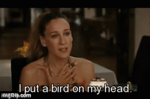 Woman Sitting At Table Saying I Put Bird On My Head GIF