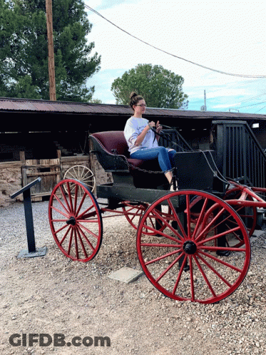 Woman Sitting In Carriage Wearing I Love You T-Shirt GIF