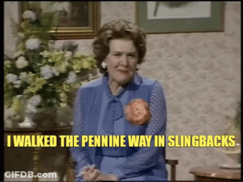 Woman Sitting In Chair With Pennine Way Slingbacks GIF