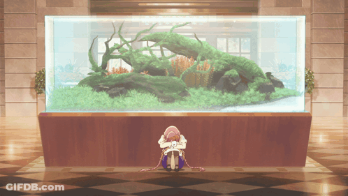 Woman Sitting In Front Of Large Aquarium GIF