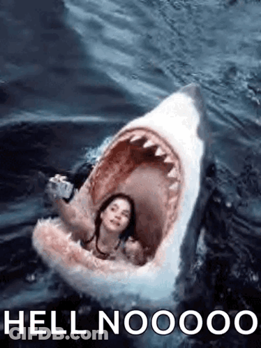 Woman Sitting In Shark's Mouth GIF