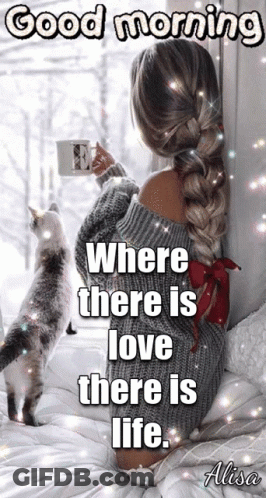Woman Sitting On Bed With Two Cats GIF