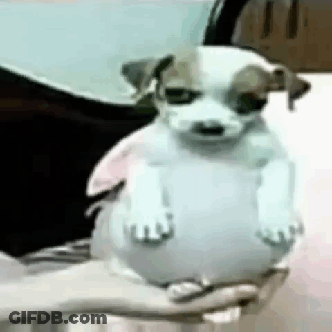 Woman Sitting On Couch Making Face GIF
