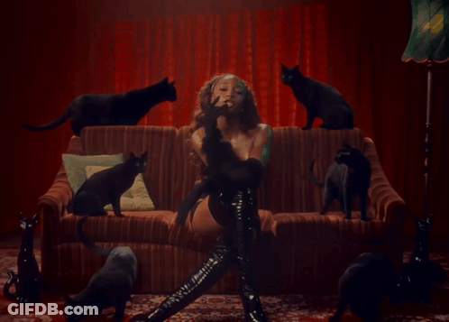 Woman Sitting On Couch With Black Cats GIF