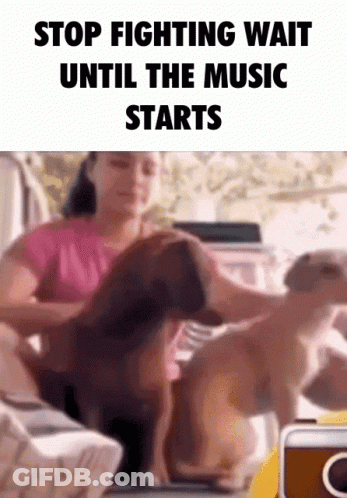 Woman Sitting On Couch With Two Dogs Stop Fighting Wait Until Music Starts GIF